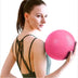 Pilates/Yoga Core Ball (20-25cm)